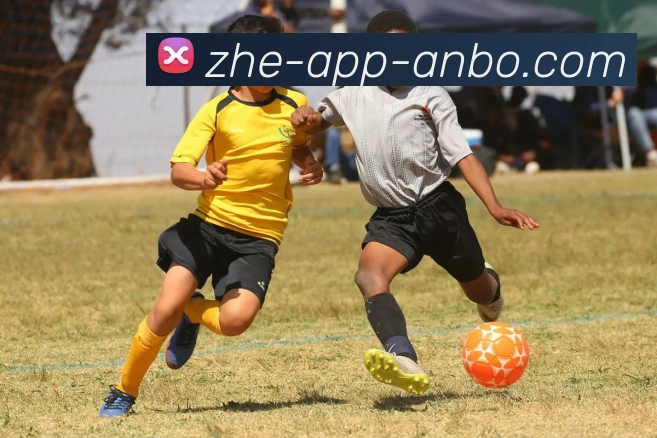 安博体育品牌故事